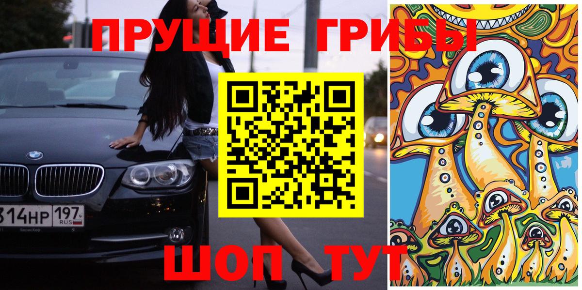 где купить наркоту  Вход с VPN  Гусь-Хрустальный  Псилоцибиновые грибы Psilocybine cubensis 