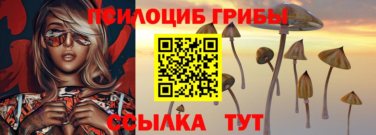 Галлюциногенные грибы Psilocybine cubensis Гусь-Хрустальный